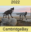CambridgeBay 2022